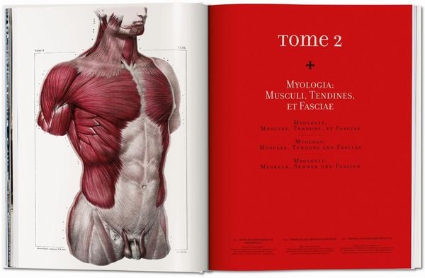 Produktbild: Bourgery