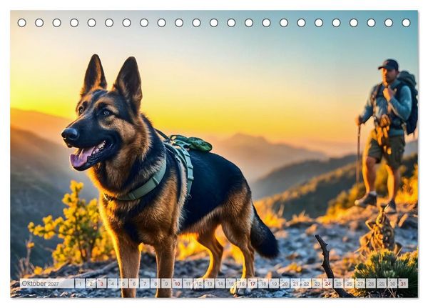 Produktbild: Sch&auml;ferhund 24/7 - Keine Pause f&uuml;r echte Helden (Tischkalender 2027 DIN A5 quer), CALVENDO Monatskalender