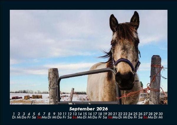 Produktbild: Die Welt der Pferde 2026 Fotokalender DIN A5