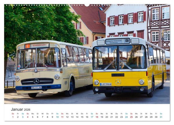Produktbild: Omnibusse im Fokus (Wandkalender 2026 DIN A2 quer), CALVENDO Monatskalender