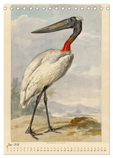 Produktbild: Aert Schouman. V&Ouml;GEL (Tischkalender 2026 DIN A5 hoch), CALVENDO Monatskalender