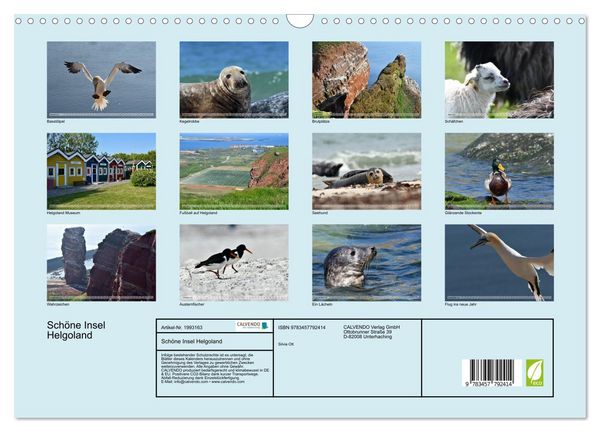 Produktbild: Sch&ouml;ne Insel Helgoland (Wandkalender 2026 DIN A3 quer), CALVENDO Monatskalender
