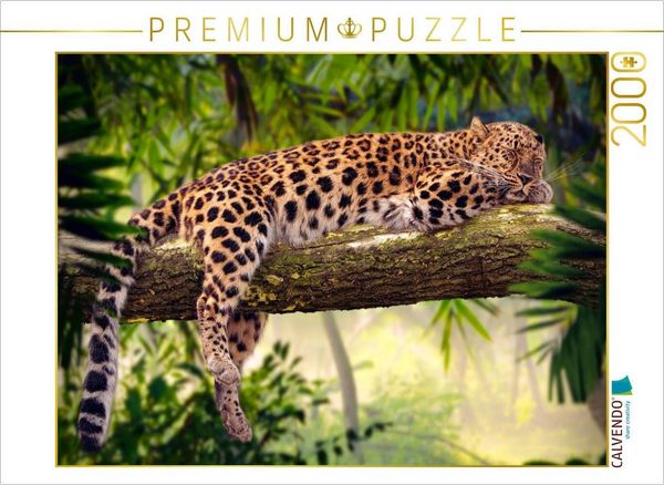 Produktbild: CALVENDO Puzzle Leopard mit Auszeit auf einem Baum | 2000 Teile Lege-Gr&ouml;&szlig;e 90x67cm Foto-Puzzle f&uuml;r gl&uuml;ckliche Stunden