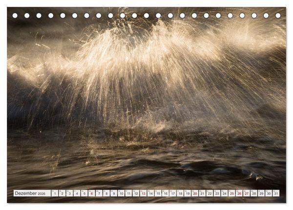 Produktbild: Feine Formen der Natur (Tischkalender 2026 DIN A5 quer), CALVENDO Monatskalender