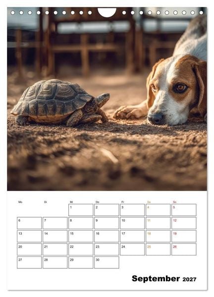 Produktbild: Ein Herz und eine Schnauze - Ein tierisch buntes Miteinander (Wandkalender 2027 DIN A4 hoch), CALVENDO Monatskalender