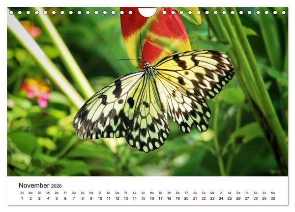 Produktbild: Philippinen - Faszinierende Inselwelten (Wandkalender 2026 DIN A4 quer), CALVENDO Monatskalender