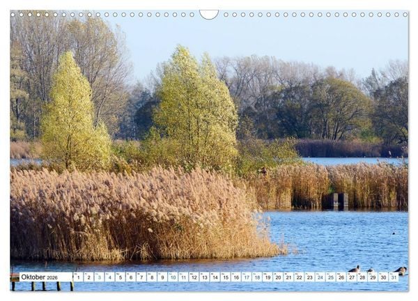 Produktbild: Land Brandenburg - Natur und Erholung im m&auml;rkischen Land (Wandkalender 2026 DIN A3 quer), CALVENDO Monatskalender