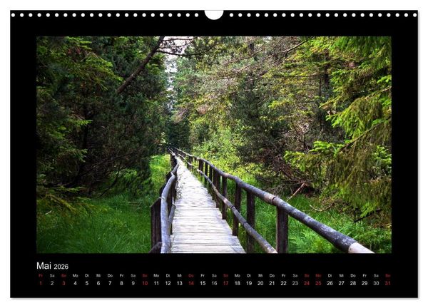 Produktbild: W&auml;lder, fotografiert auf vier Kontinenten (Wandkalender 2026 DIN A3 quer), CALVENDO Monatskalender