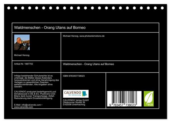 Produktbild: Waldmenschen - Orang Utans auf Borneo (Tischkalender 2026 DIN A5 quer), CALVENDO Monatskalender