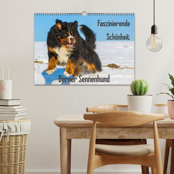 Produktbild: Faszinierende Sch&ouml;nheit Berner Sennenhund (Wandkalender 2026 DIN A3 quer), CALVENDO Monatskalender