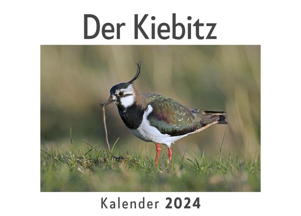Produktbild: Der Kiebitz (Wandkalender 2024, Kalender DIN A4 quer, Monatskalender im Querformat mit Kalendarium, Das perfekte Geschenk)
