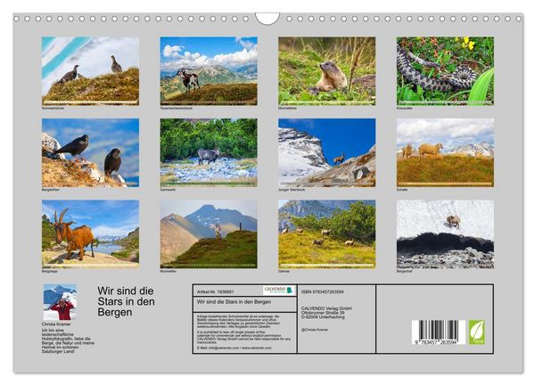 Produktbild: Wir sind die Stars in den Bergen (Wandkalender 2026 DIN A3 quer), CALVENDO Monatskalender