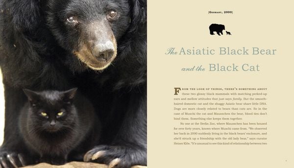 Produktbild: Unlikely Friendships