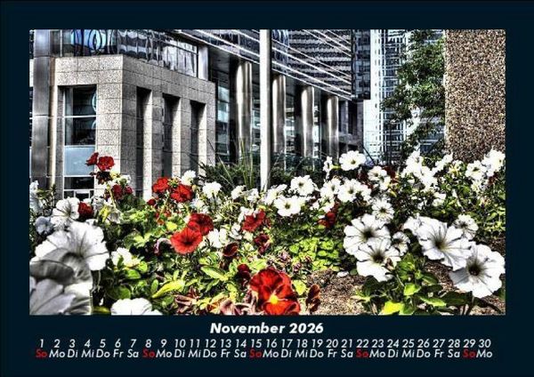 Produktbild: Blumentr&auml;ume 2026 Fotokalender DIN A5