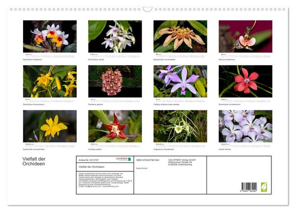 Produktbild: Vielfalt der Orchideen (Wandkalender 2026 DIN A2 quer), CALVENDO Monatskalender