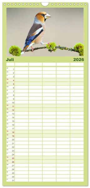Produktbild: Familienplaner 2026 - Amsel, Fink und Star: Heimische V&ouml;gel mit 5 Spalten (Wandkalender, 21 x 45 cm) CALVENDO