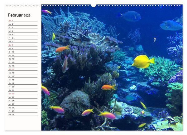 Produktbild: Paradiese. Karibik und S&uuml;dsee &uuml;ber und unter Wasser (hochwertiger Premium Wandkalender 2026 DIN A2 quer), Kunstdruck in Hochglanz