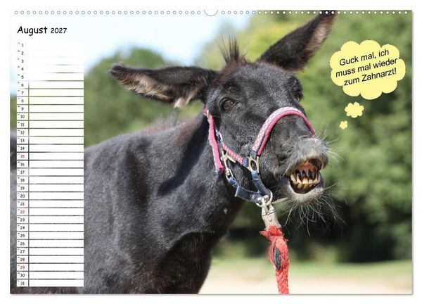 Produktbild: Wenn Tiere Sprechen k&ouml;nnten! Der lustige Spr&uuml;che Geburtstagskalender (Wandkalender 2027 DIN A2 quer), CALVENDO Monatskalender