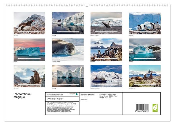 Produktbild: L'Antarctique magique (Calendrier mural 2026 DIN A2 vertical) calendrier de bureau