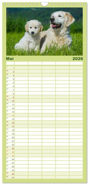 Produktbild: Familienplaner 2026 - Golden Retriever - Ein Herz auf 4 Pfoten mit 5 Spalten (Wandkalender, 21 x 45 cm) CALVENDO