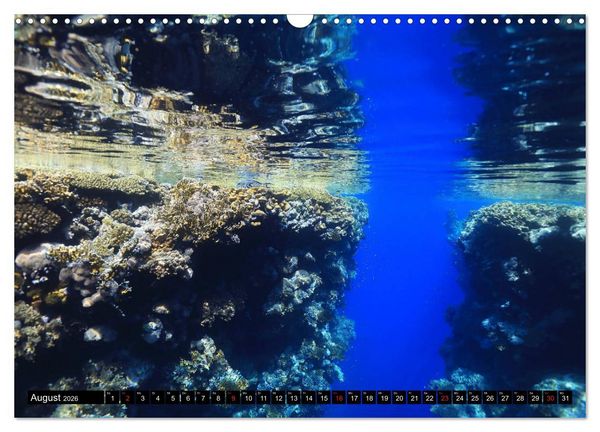 Produktbild: Rotes Meer Unterwasser (Wandkalender 2026 DIN A3 quer), CALVENDO Monatskalender
