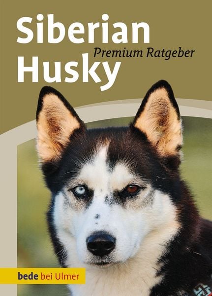 Produktbild: Siberian Husky