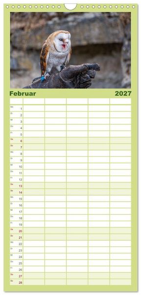 Produktbild: Familienplaner 2027 - Greifv&ouml;gel in Aktion - Dynamische Flugbilder und Portr&auml;ts mit 5 Spalten (Wandkalender, 21 x 45 cm) CALVENDO