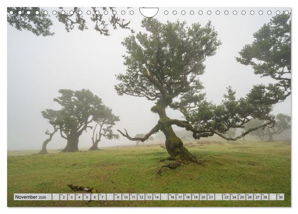 Produktbild: Wundersch&ouml;nes Madeira (Wandkalender 2026 DIN A4 quer), CALVENDO Monatskalender