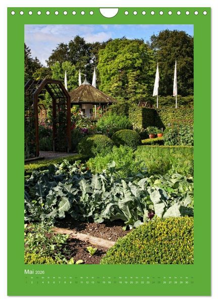 Produktbild: Farbtupferl - Botanischer Garten Augsburg (Wandkalender 2026 DIN A4 hoch), CALVENDO Monatskalender