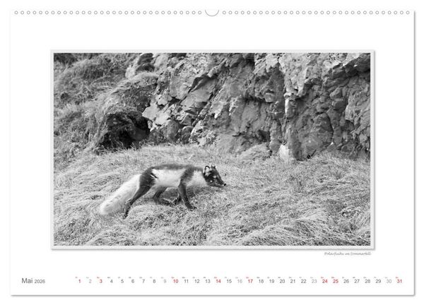 Produktbild: Spitzbergen Svalbard (Wandkalender 2026 DIN A2 quer), CALVENDO Monatskalender