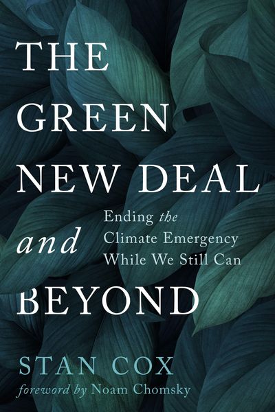 Produktbild: The Green New Deal and Beyond: Ending the Climate Emergency While We Still Can