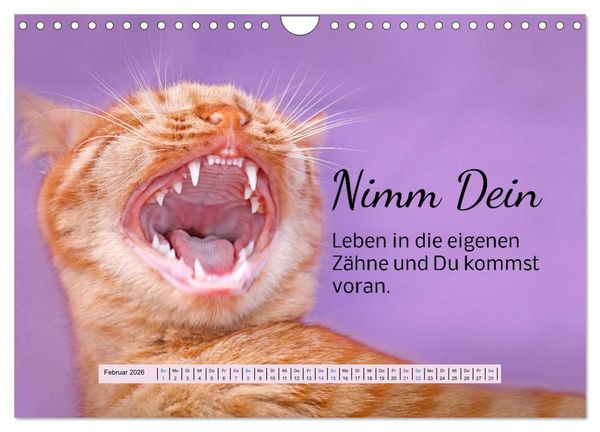 Produktbild: Der Spruchkalender - freiheraus und witzig (Wandkalender 2026 DIN A4 quer), CALVENDO Monatskalender