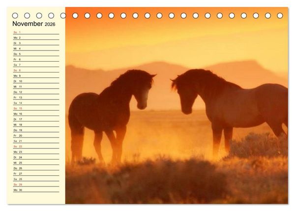 Produktbild: Wilde Pferde. Mustangs in USA (Tischkalender 2026 DIN A5 quer), CALVENDO Monatskalender