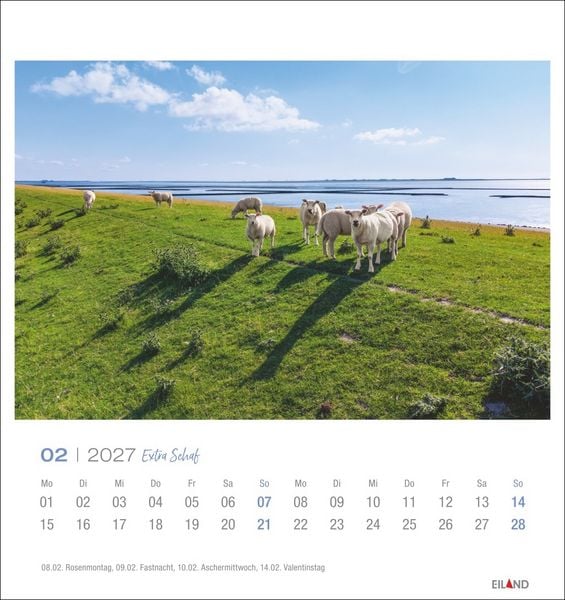 Produktbild: Extra Schaf Postkartenkalender 2027