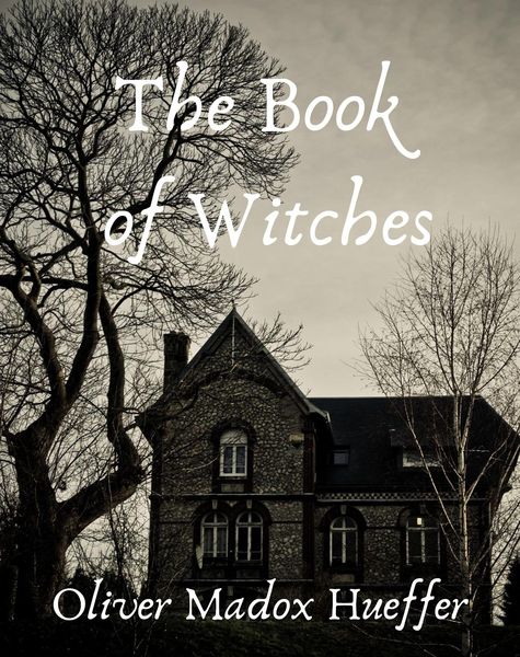 Produktbild: The book of witches