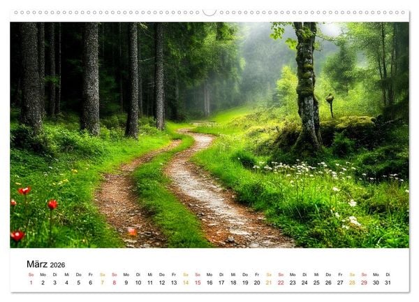 Produktbild: Mystik der W&auml;lder (Wandkalender 2026 DIN A2 quer), CALVENDO Monatskalender