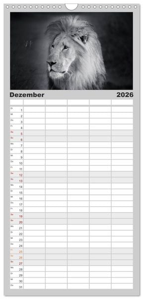 Produktbild: Familienplaner 2026 - L&ouml;wen schwarz wei&szlig; mit 5 Spalten (Wandkalender, 21 x 45 cm) CALVENDO