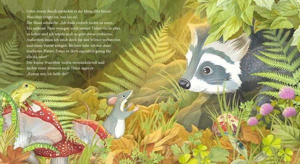 Produktbild: Der kleine Waschb&auml;r findet neue Freunde &ndash; ein Bilderbuch f&uuml;r Kinder ab 2 Jahren