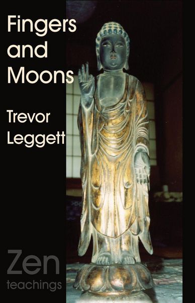 Produktbild: Fingers and Moons