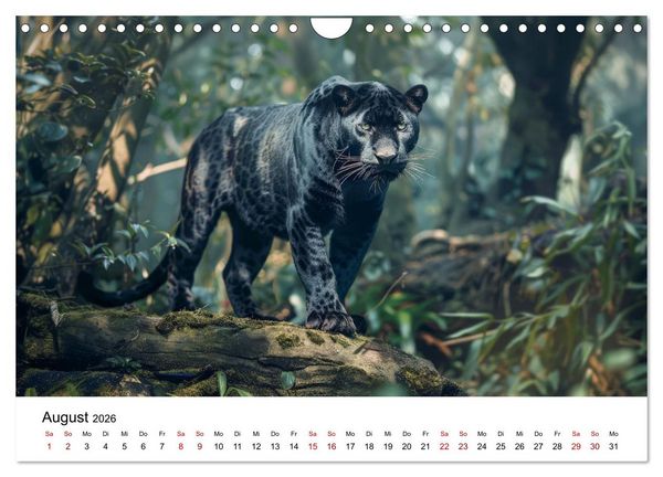 Produktbild: Magische Tierwelt Asiens (Wandkalender 2026 DIN A4 quer), CALVENDO Monatskalender