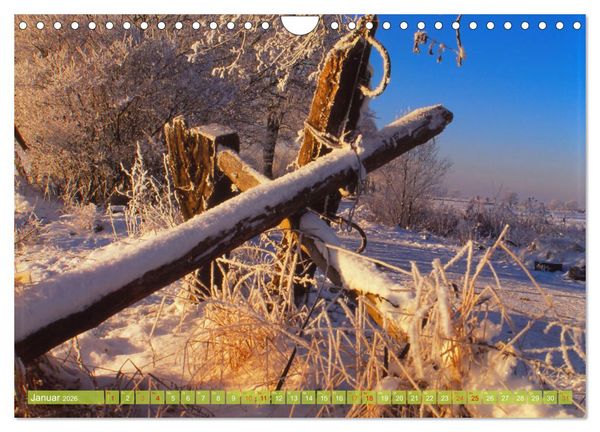 Produktbild: Landwirtschaft Natur pur Mecklenburg-Vorpommern (Wandkalender 2026 DIN A4 quer), CALVENDO Monatskalender