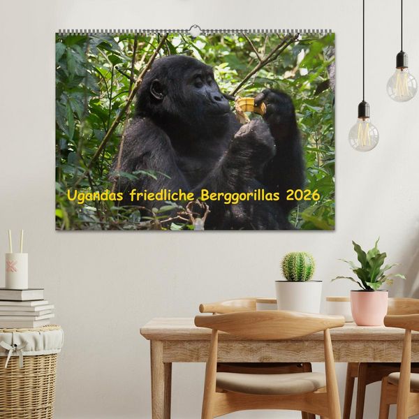 Produktbild: Ugandas friedliche Berggorillas (Wandkalender 2026 DIN A2 quer), CALVENDO Monatskalender