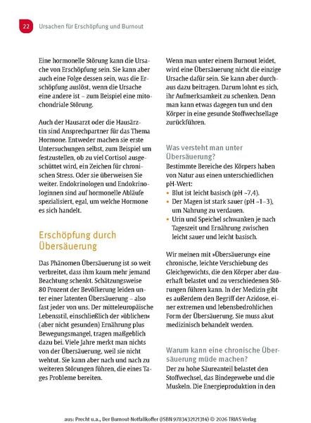 Produktbild: Der Burnout-Notfallkoffer