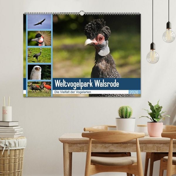 Produktbild: Weltvogelpark Walsrode - Die Vielfalt der Vogelarten (Wandkalender 2026 DIN A2 quer), CALVENDO Monatskalender