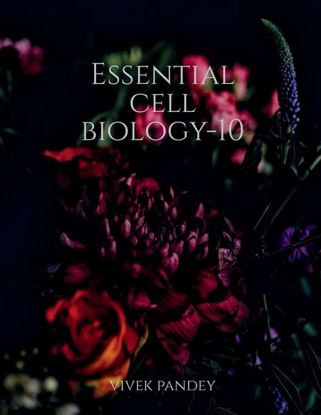 Produktbild: Essential cell biology-10