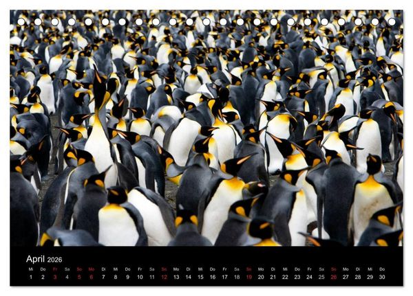 Produktbild: Antarktis 68&deg; S&uuml;d (Tischkalender 2026 DIN A5 quer), CALVENDO Monatskalender