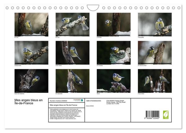 Produktbild: Mes anges bleus en &Icirc;le-de-France (Calendrier mural 2027 DIN A4 vertical), CALVENDO calendrier mensuel