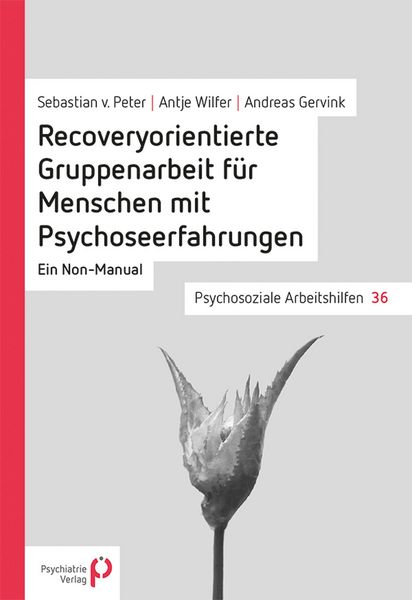 Produktbild: Recoveryorientierte Gruppenarbeit f&uuml;r Menschen mit Psychoseerfahrungen