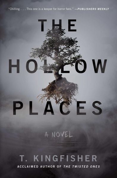 Produktbild: The Hollow Places