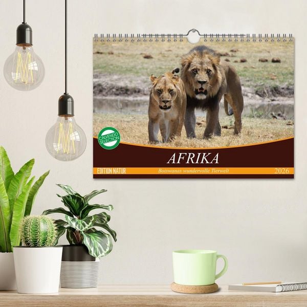 Produktbild: Afrika. Botswanas wundervolle Tierwelt (Wandkalender 2026 DIN A4 quer), CALVENDO Monatskalender
